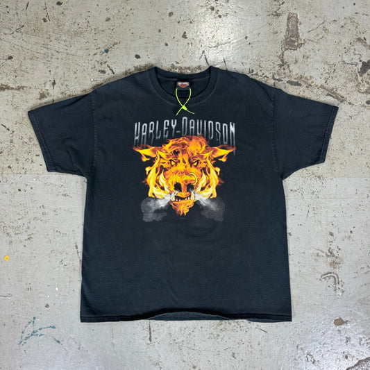 2013 HARLEY DAVIDSON FLAME PIG- XL
